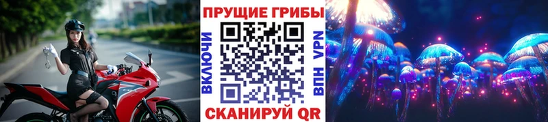 Галлюциногенные грибы Magic Shrooms  Высоцк 